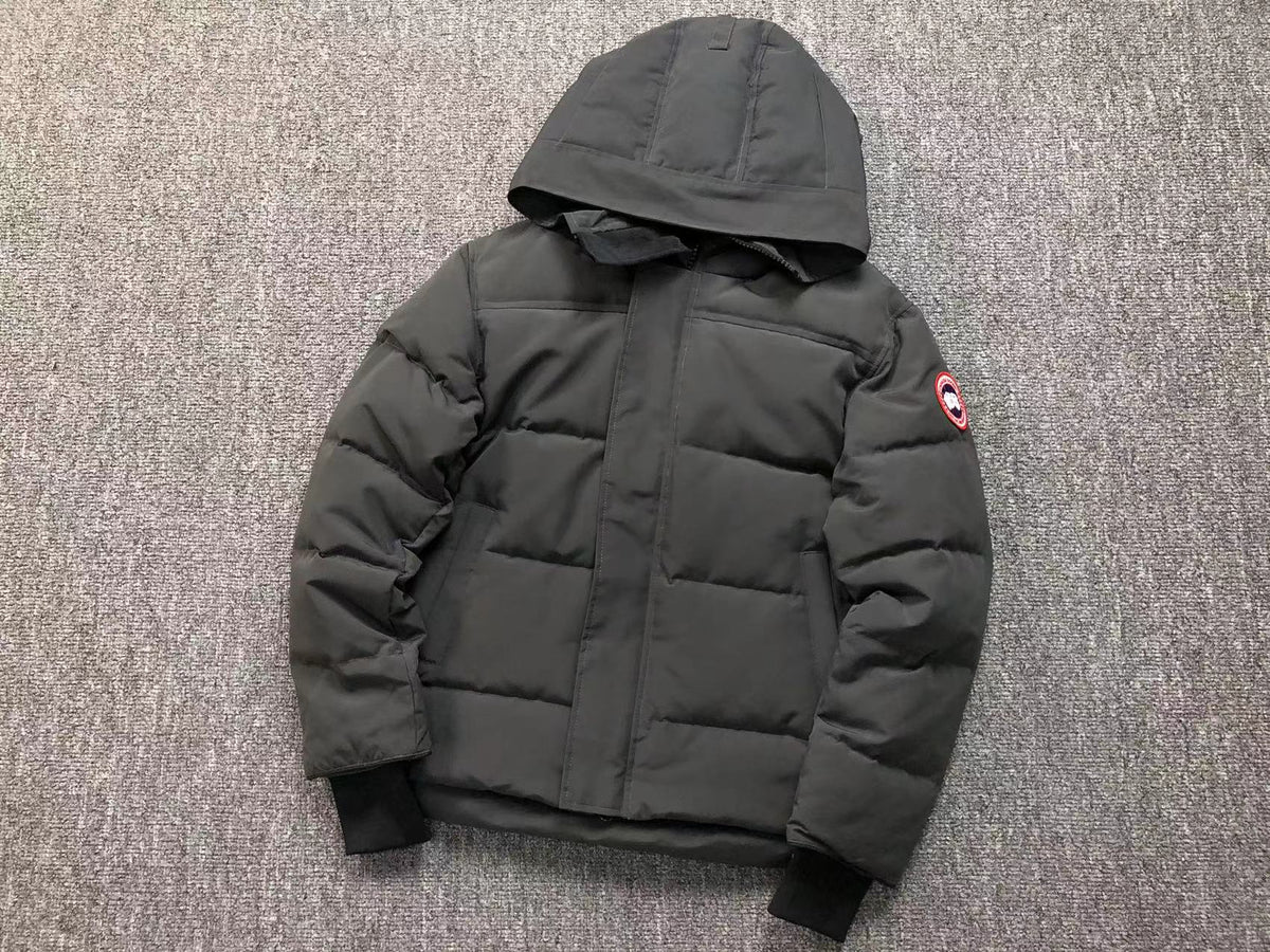 Veste d'hiver Canada Goose Gris 2