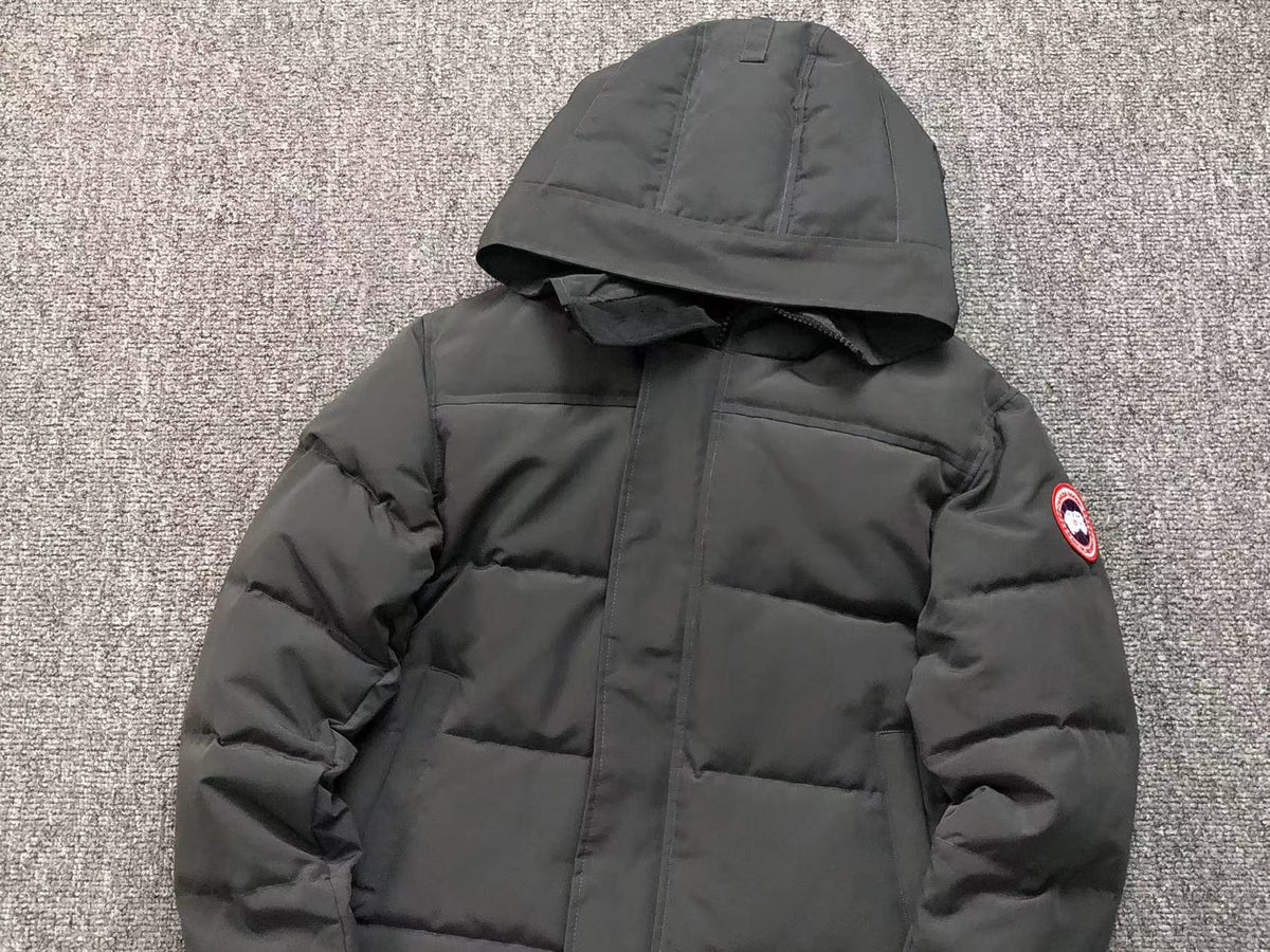 Veste d'hiver Canada Goose Gris 2